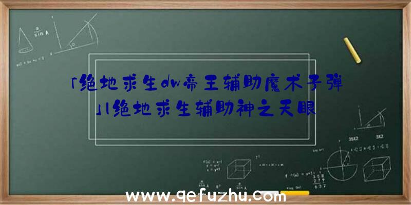 「绝地求生dw帝王辅助魔术子弹」|绝地求生辅助神之天眼